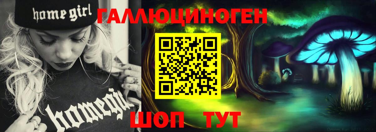 Псилоцибиновые грибы Cubensis  Вход с VPN  Старая Купавна 